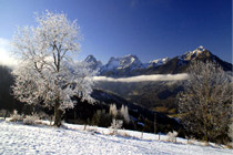 Austria 