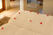 Fortune Katriya Hotel - Hyderbad,